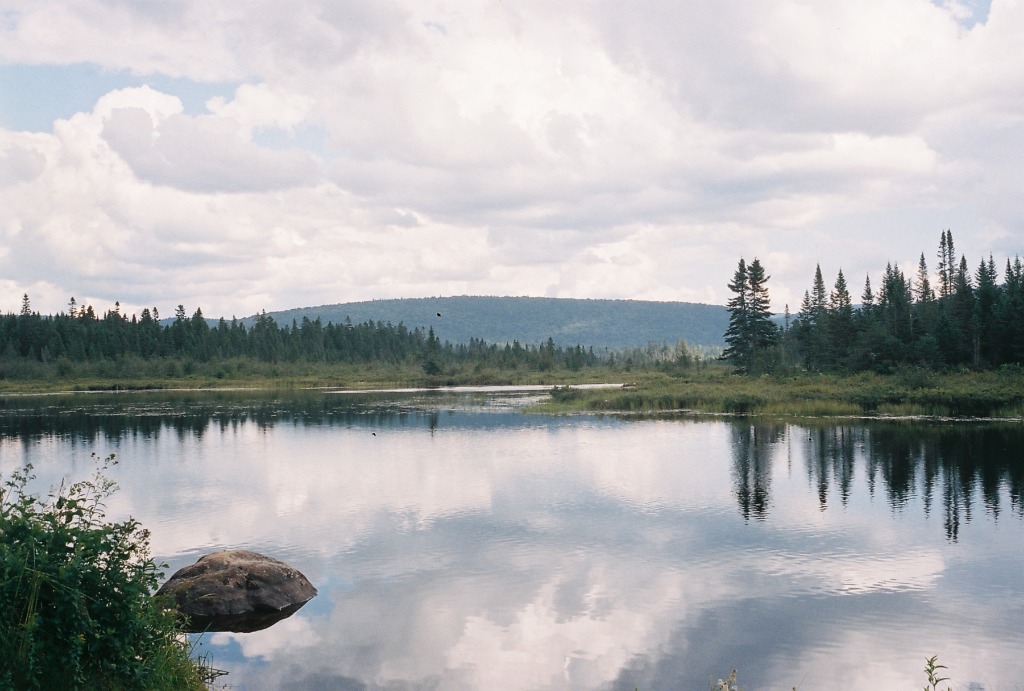 Perfect reflection of forest and sky in a calm lake, natural symmetry.