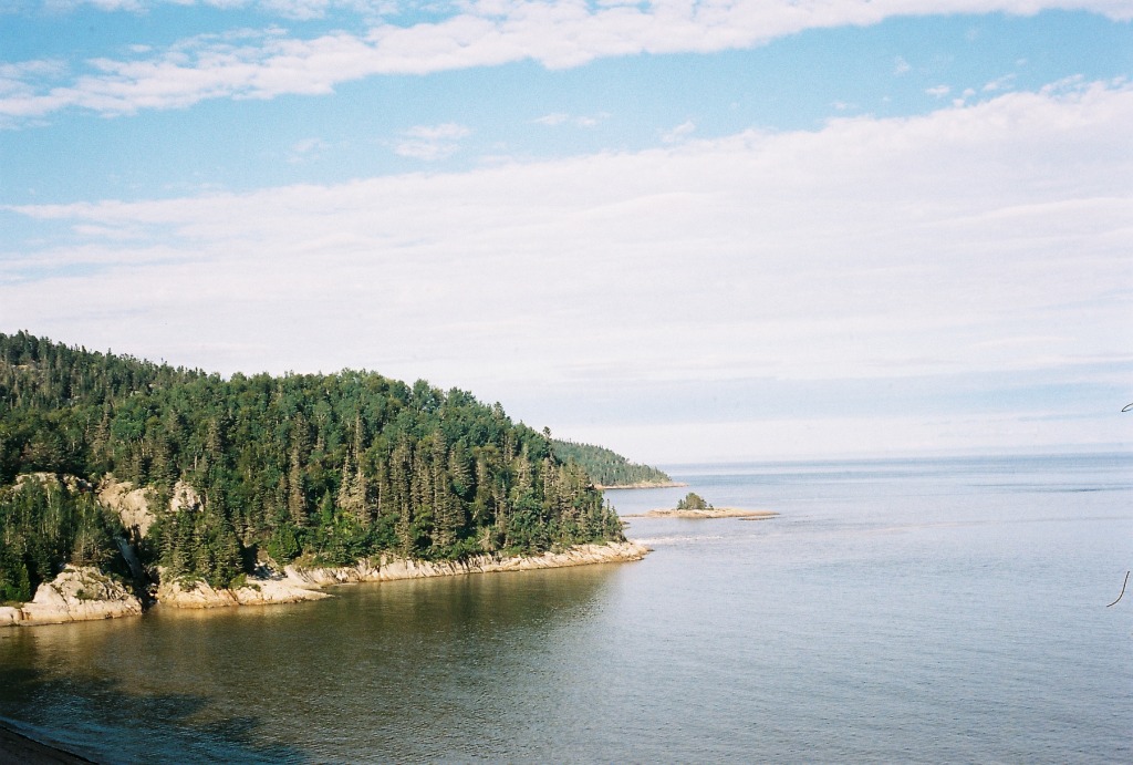 Saint Lawrence river bank with dense forest and blue water as far as the eye can see.